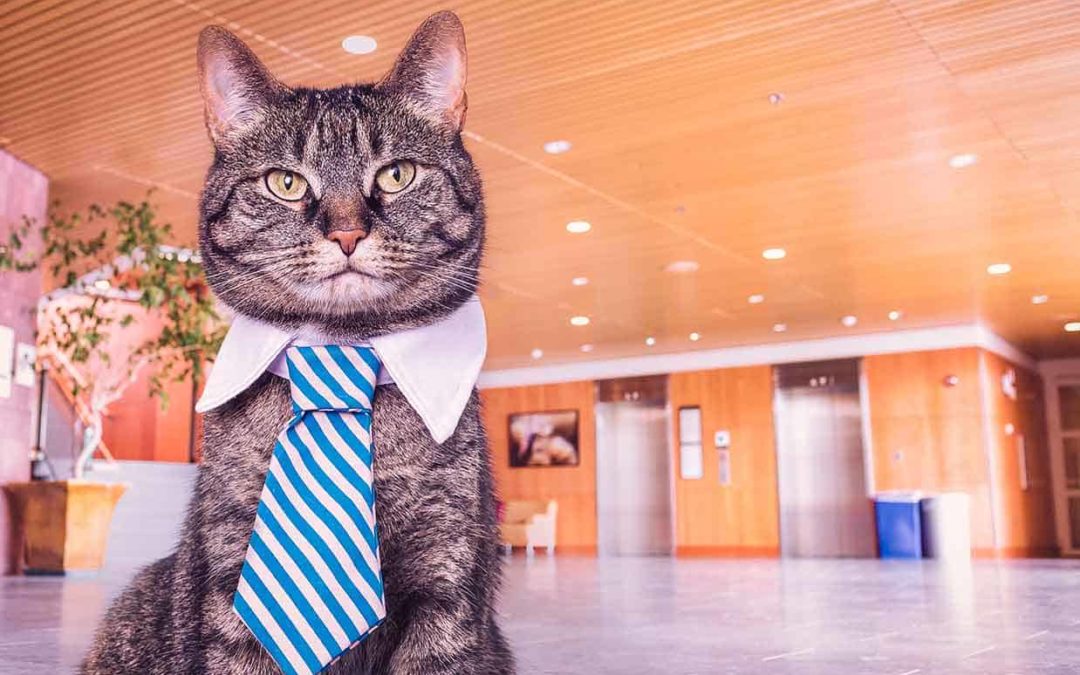 Why You’re Not Happy With Your Commercial Insurance.